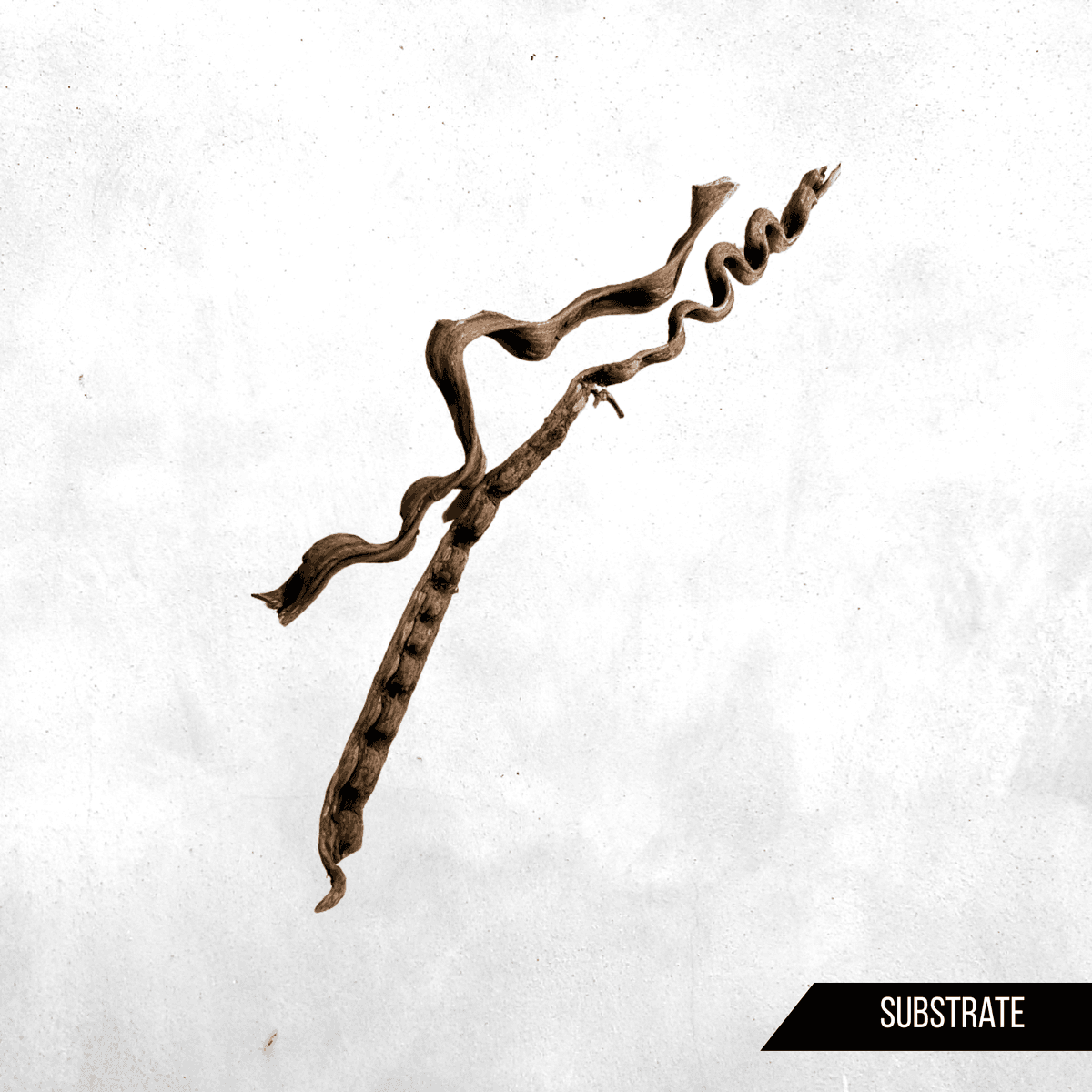 Trinil Frankenstein Wood