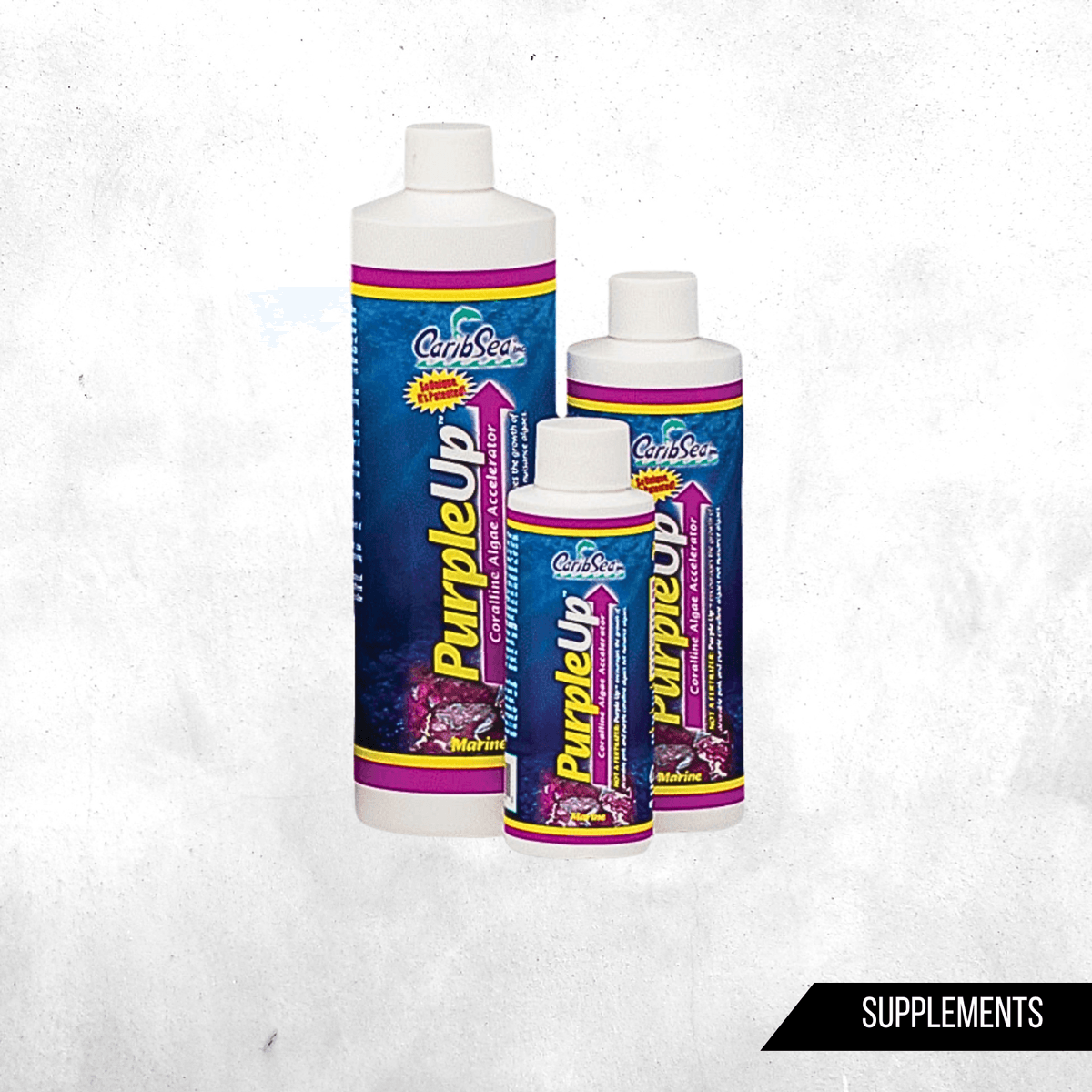 purple up 473 ml - Coralline Accelerator