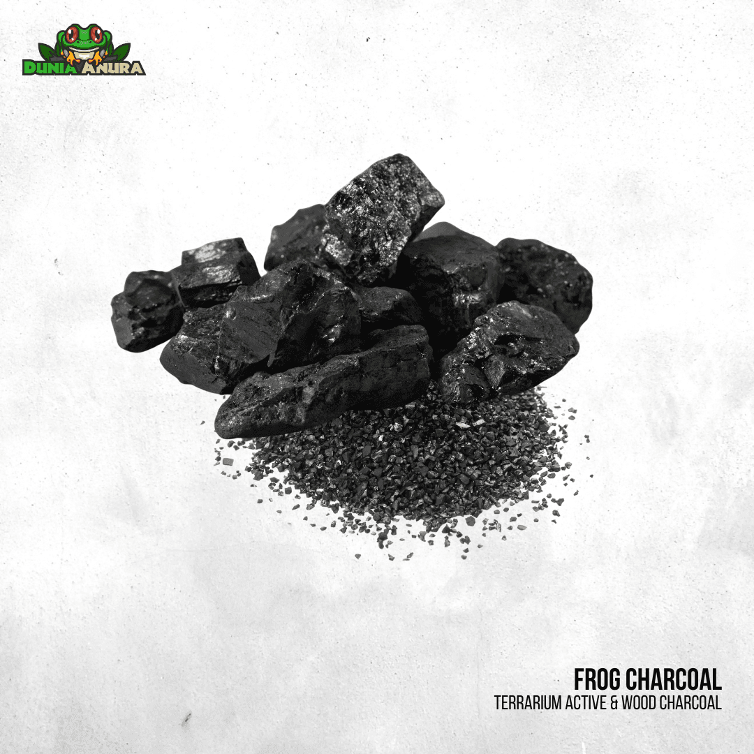 Frog Charcoal