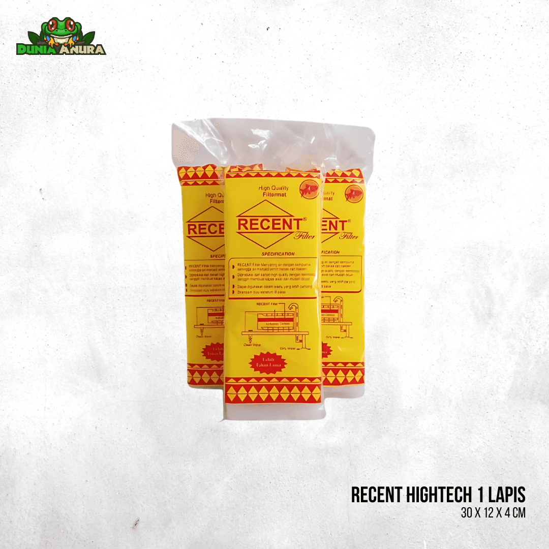 Recent Hightech 1 lapis 30 x 12 x 4 cm