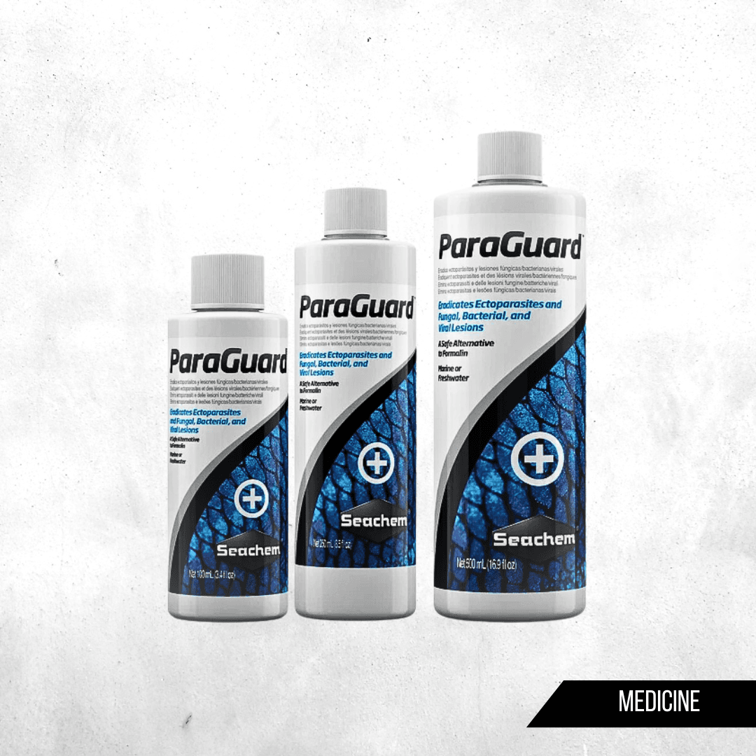 Seachem ParaGuard - Obat Parasit, Jamur, Bakteri dan Virus ikan