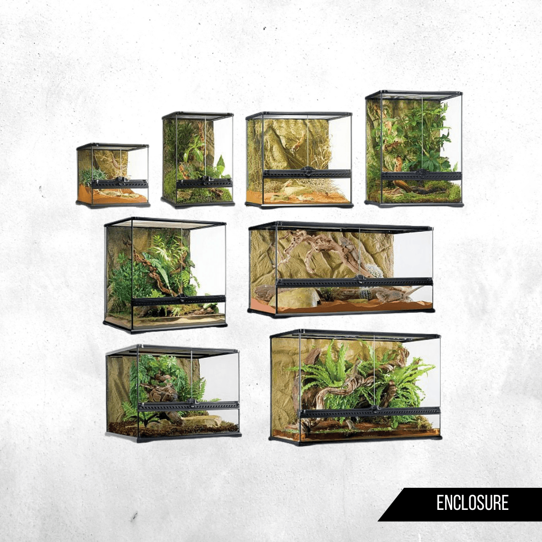 Exo Terra Glass Terrarium Serries